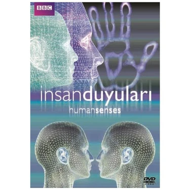 Human Senses (İnsan