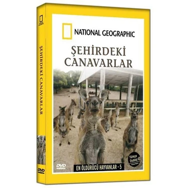 National Geographic: Şehirdeki