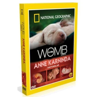 National Geographic: Anne Karnında