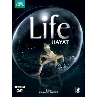 Life (Hayat) (4