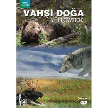 Yellowstone (Vahşi Doğa) (2