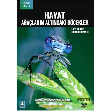 Life In The Undergrowth (Hayat: Ağaçların Altındaki Böcekler)