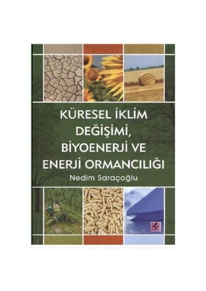 Küresel İklim Değişimi, Biyoenerji ve Enerji Ormancılığı