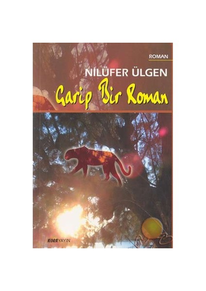 Garip Bir Roman