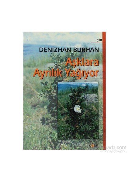 Aşklara Ayrılık Yağıyor-Denizhan Burhan