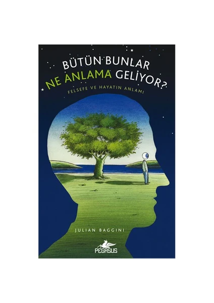 Bütün Bunlar Ne Anlama Geliyor-Julian Baggini