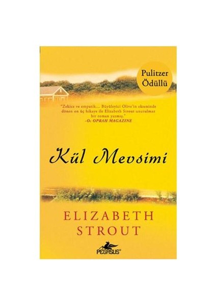 Kül Mevsimi - Elizabeth Strout