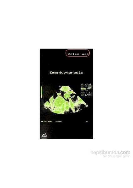 Embriyogenesis