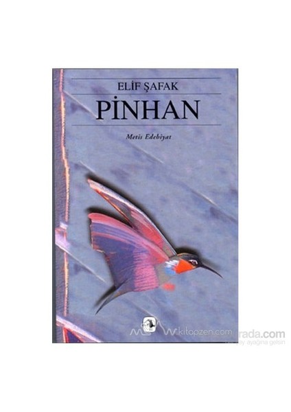 Pinhan - Elif Şafak