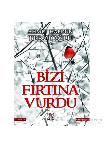 Bizi Fırtına Vurdu - Ahmet Haldun Terzioğlu