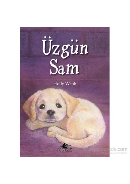 Üzgün Sam-Holly Webb