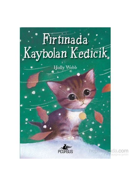 Fırtınada Kaybolan Kedicik-Holly Webb