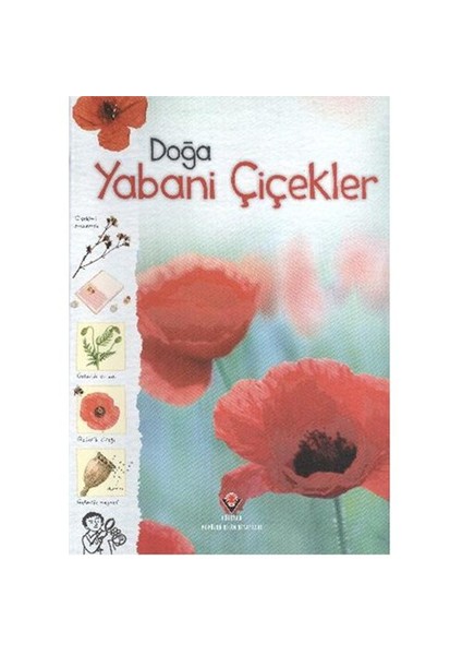 Doğa: Yabani Çiçekler