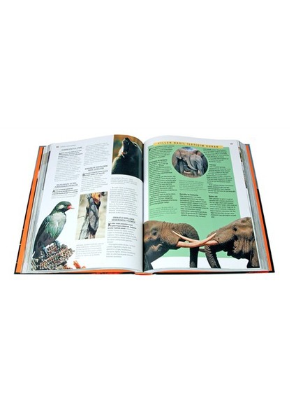 Doğanın 1000 Harikası fiyatları