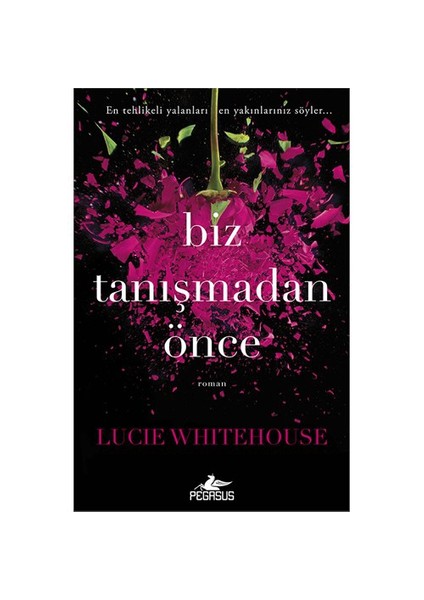 Biz Tanışmadan Önce - Lucie Whitehouse