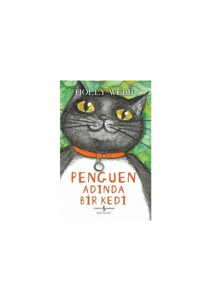 Penguen Adında Bir Kedi-Holly Webb