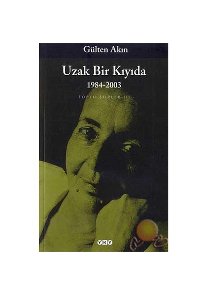 Uzak Bir Kıyıda: 1991-2013 - Gülten Akın
