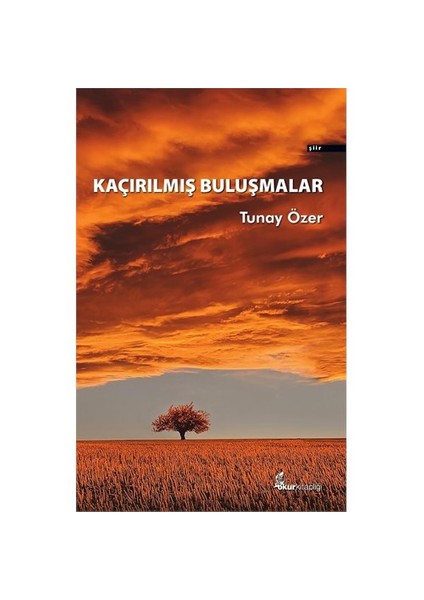 Kaçırılmış Buluşmalar-Tunay Özer