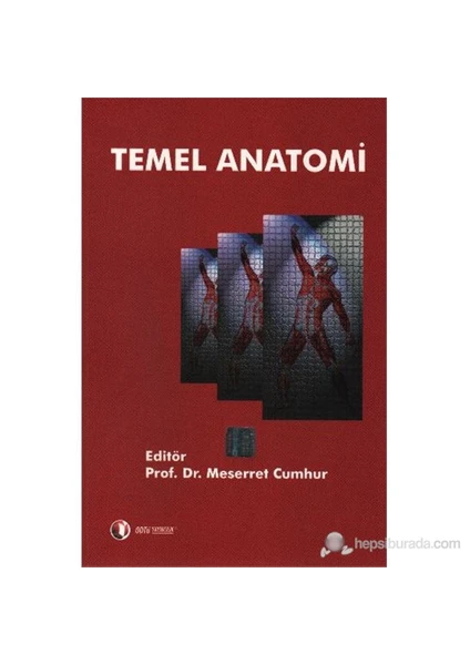 Temel Anatomi - Meserret Cumhur