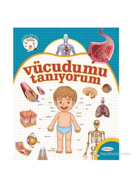 Vücudumu Tanıyorum-Kolektif