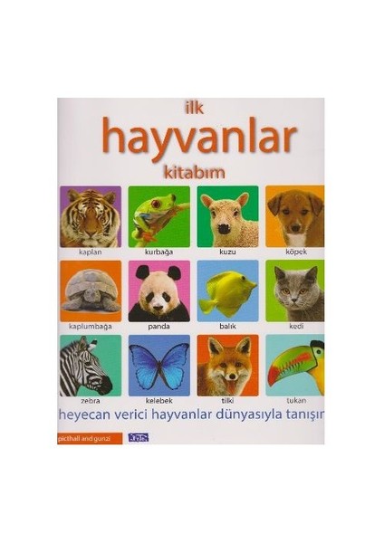 İlk Hayvanlar Kitabım - Pıtchall - Gunzıe