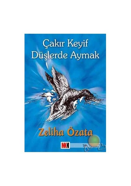 Çakır Keyif Düşlerde Aymak