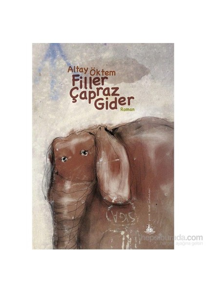 Filler Çapraz Gider-Altay Öktem