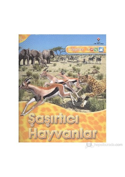 Kaşifler Şaşırtıcı Hayvanlar-Jinny Johnson