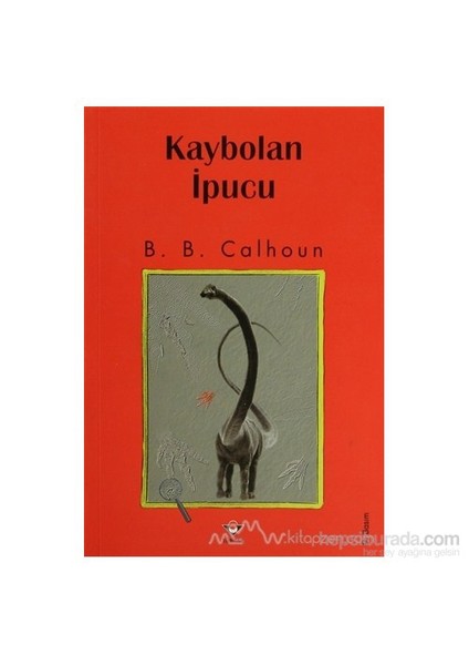 Kaybolan İpucu-B. B. Calhoun