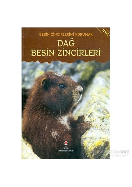 - Besin Zincirlerini Korumak - Dağ Besin Zincirleri