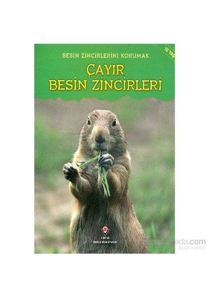 - Besin Zincirlerini Korumak - Çayır Besin Zincirleri
