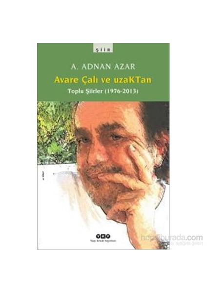 Avare Çalı ve Uzaktan: Toplu Şiirler (1976 - 2013) - A. Adnan Azar