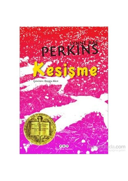 Kesişme-Lynne Rae Perkins