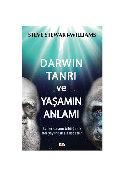 Darwin Tanrı Ve Yaşamın Anlamı - (Evrim Kuramı Bildiğimiz Her Şeyi Nasıl Alt Üst Etti?)-Steve Stewart Williams