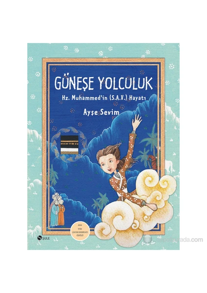 Güneşe Yolculuk - Ayşe Sevim