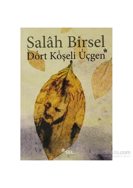 Dört Köşeli Üçgen - Salah Birsel