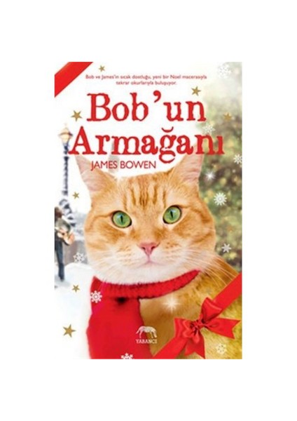 Bob’un Armağanı - James Bowen