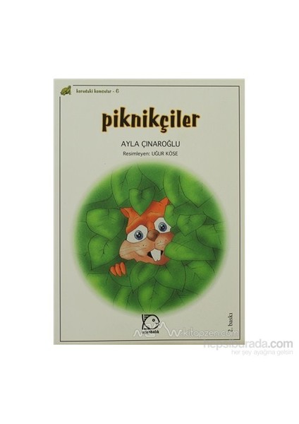Piknikçiler-Ayla Çınaroğlu