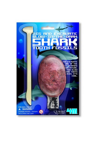 Dig & Excavate Glow Shark Tooth Fossils - Fosil Dişler