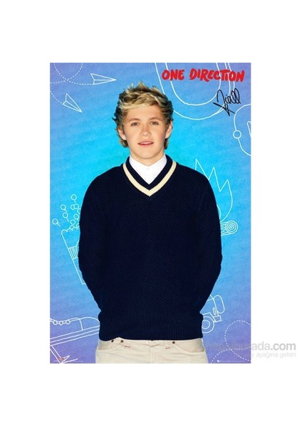 One Direction Niall Pop Maxi Poster