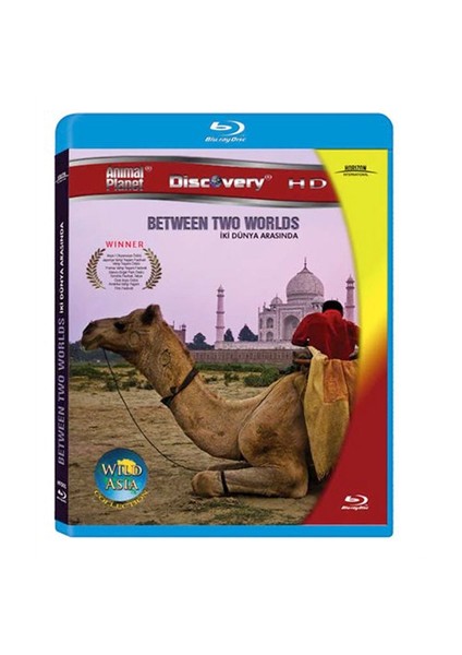 Between Two Worlds (İki Dünya Arasında) (Blu-Ray Disc)