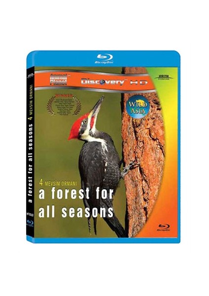 A Forest For All Seasons (Dört Mevsim Ormanı) (Blu-Ray Disc)