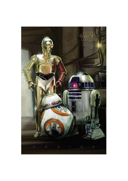 Maxi Poster - Star Wars Episode Vıı Droids