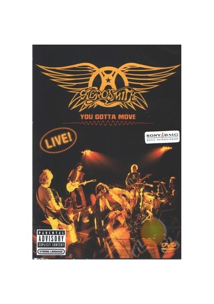 You Gotta Move Live (Aerosmıth)