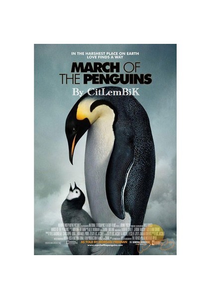 La Marche De L'empereur (İmparator'un Yolculuğu)