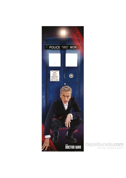 New Doctor & Tardis Door Poster