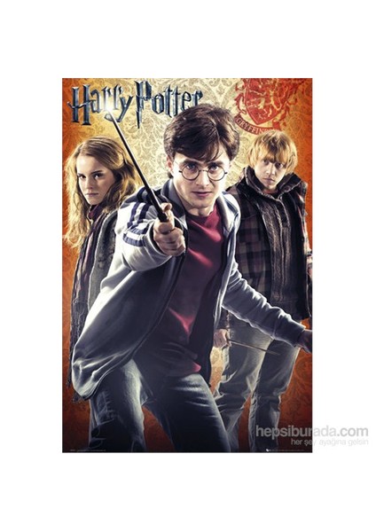 Harry Potter Trio Maxi Poster