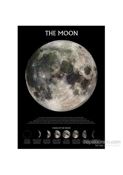 Maxi Poster The Moon Phases