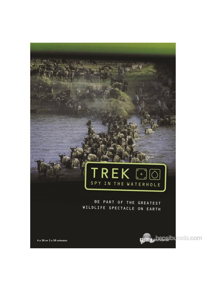 Trek: Spy On The Wildebeest (Antiloplar: Göç Yolundaki Casus)