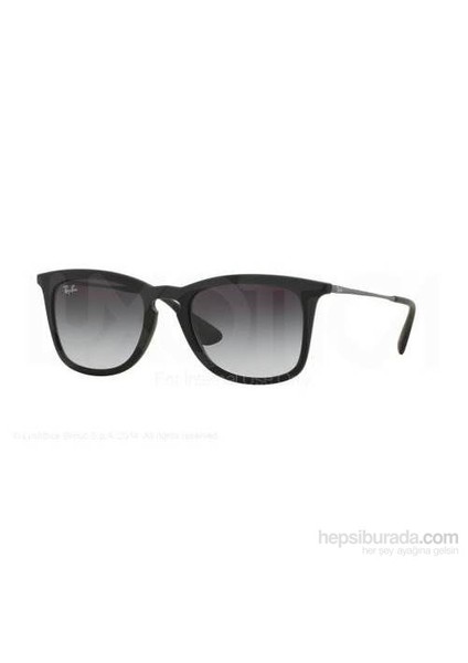 Rayban Rb4221 622/8G50 Güneş Gözlüğü